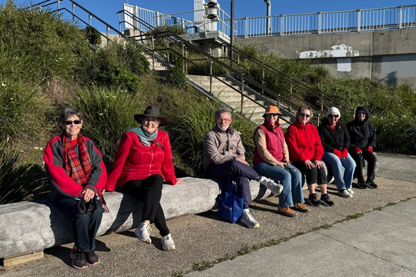 Brighton Walkers