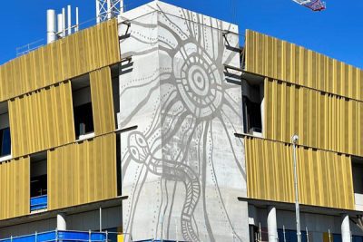 Artwork on Clinical Sciences building
