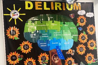 Delirium display at RBWH