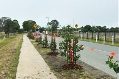 Caboolture Hospital Redevelopment Project using trees instead of parking bollards