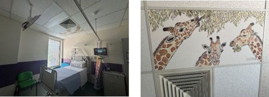 Giraffe roof tiles in refurbished Paediatric Unit at Caboolture Hospital