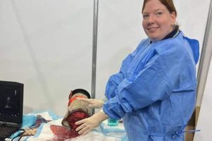 Clinical skills demonstration at Health Careers Expo