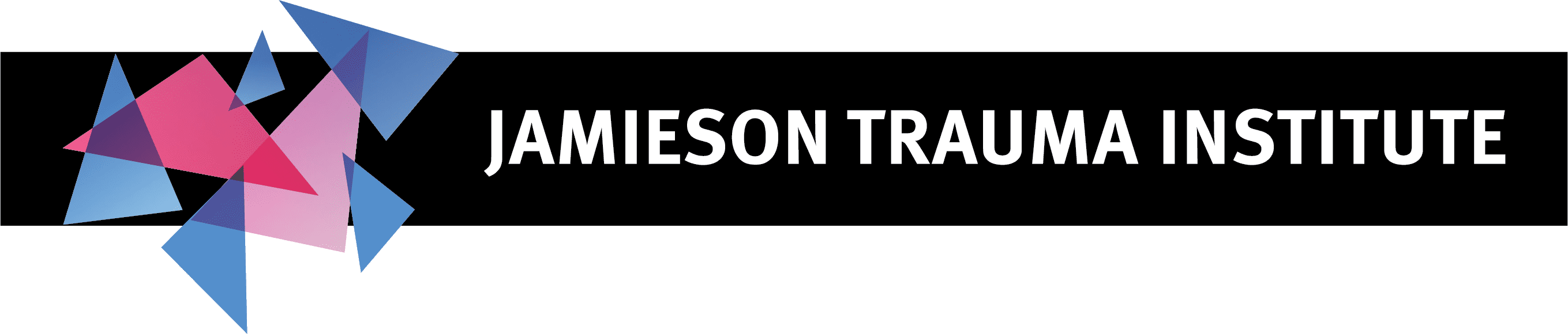 Jamieson Trauma Institute