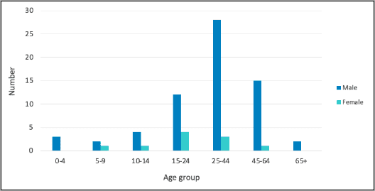 Lithium-ion burns by age group