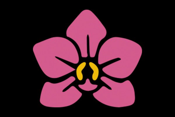 Comprehensive Breast Cancer Institute logo