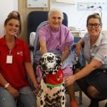 Bossy gives paw-fect pick me up for patients