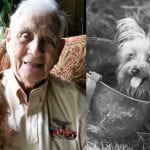Remembering WWII Veteran Corporal Bill Wynne, Smoky’s handler, comrade, and lifelong best friend