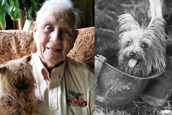 Remembering WWII Veteran Corporal Bill Wynne, Smoky’s handler, comrade, and lifelong best friend