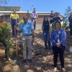 IMS goes green