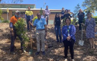 IMS goes green