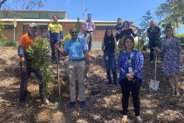 IMS goes green