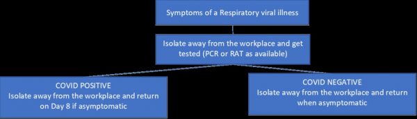 What do I do if I have symptoms of a respiratory viral illness?