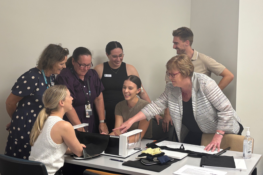 Metro North occupational therapists receiving SENSe training with Professor Leeanne Carey.