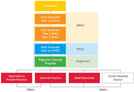 Diagram of the Clinical career structure in Queensland.