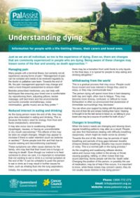 PalAssist Understanding Dying